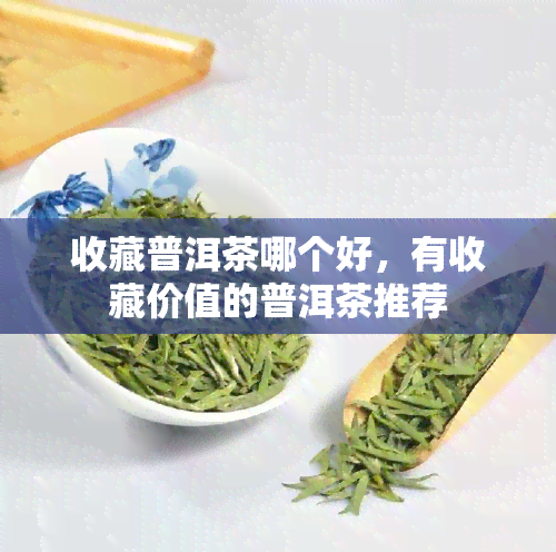 收藏普洱茶哪个好，有收藏价值的普洱茶推荐