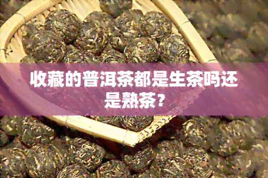 收藏的普洱茶都是生茶吗还是熟茶？