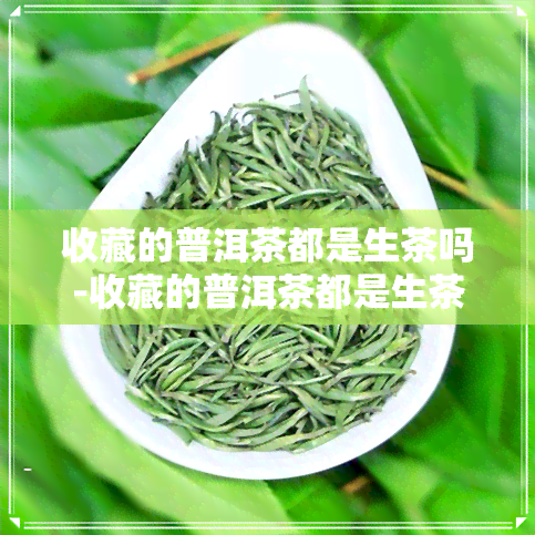 收藏的普洱茶都是生茶吗-收藏的普洱茶都是生茶吗为什么