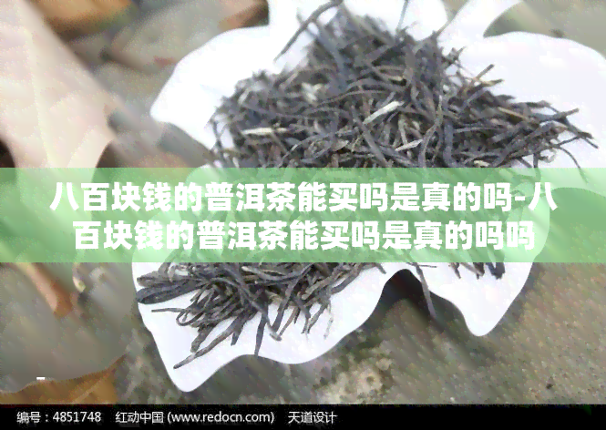 八百块钱的普洱茶能买吗是真的吗-八百块钱的普洱茶能买吗是真的吗吗