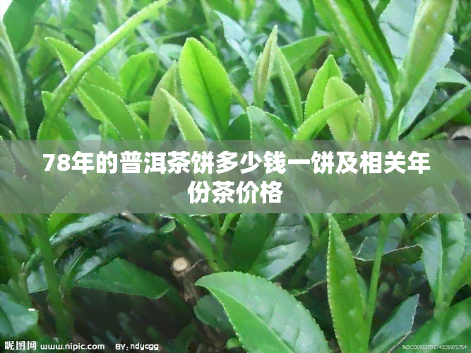 78年的普洱茶饼多少钱一饼及相关年份茶价格