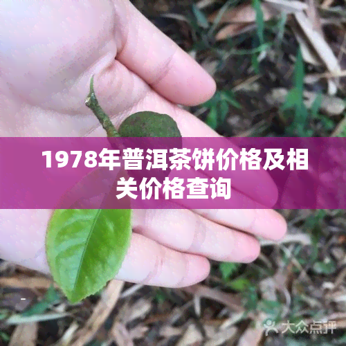 1978年普洱茶饼价格及相关价格查询