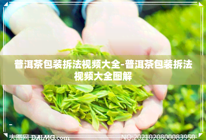 普洱茶包装拆法视频大全-普洱茶包装拆法视频大全图解