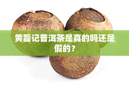 黄磊记普洱茶是真的吗还是假的？