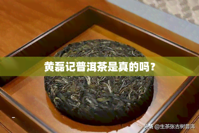 黄磊记普洱茶是真的吗？