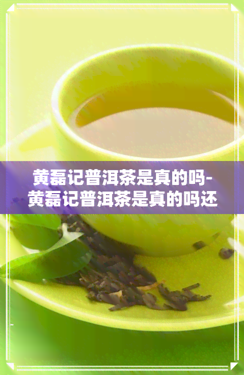 黄磊记普洱茶是真的吗-黄磊记普洱茶是真的吗还是假的