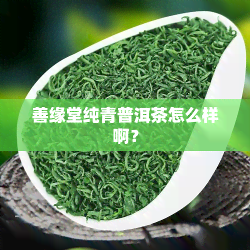 善缘堂纯青普洱茶怎么样啊？