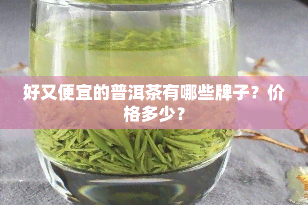 好又便宜的普洱茶有哪些牌子？价格多少？