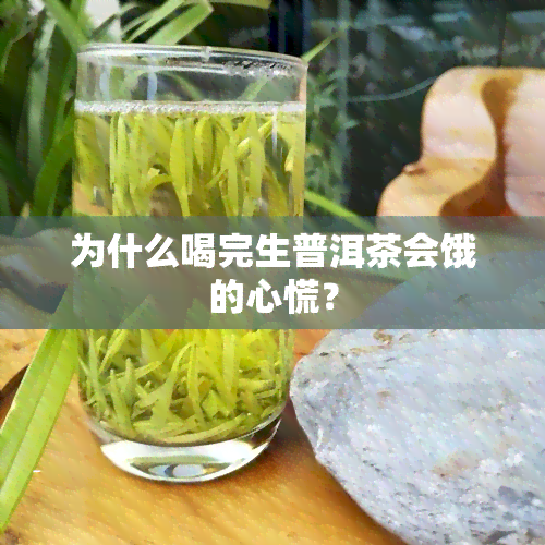 为什么喝完生普洱茶会饿的心慌？