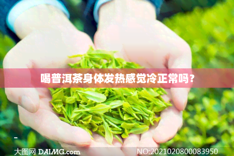 喝普洱茶身体发热感觉冷正常吗？