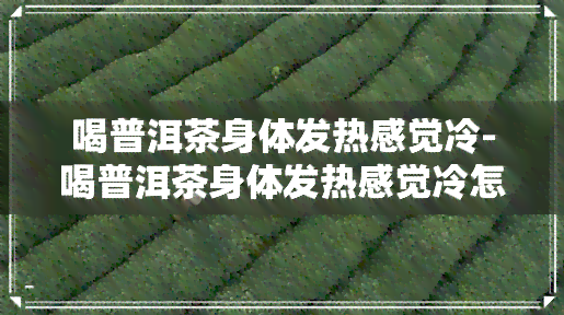 喝普洱茶身体发热感觉冷-喝普洱茶身体发热感觉冷怎么回事