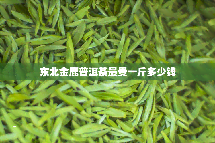 东北金鹿普洱茶最贵一斤多少钱