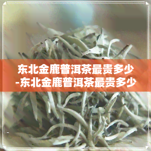 东北金鹿普洱茶最贵多少-东北金鹿普洱茶最贵多少一斤