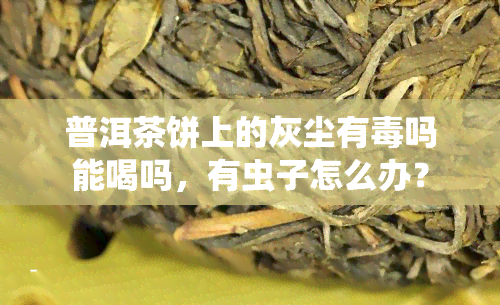 普洱茶饼上的灰尘有吗能喝吗，有虫子怎么办？