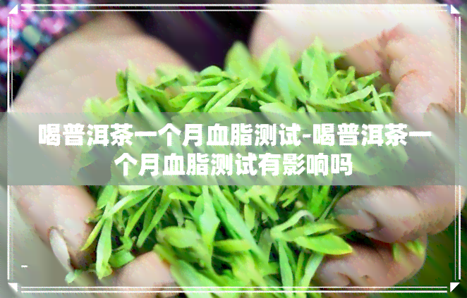 喝普洱茶一个月血脂测试-喝普洱茶一个月血脂测试有影响吗