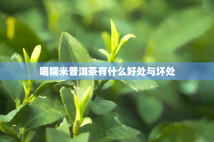 喝糯米普洱茶有什么好处与坏处