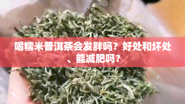 喝糯米普洱茶会发胖吗？好处和坏处、能减肥吗？