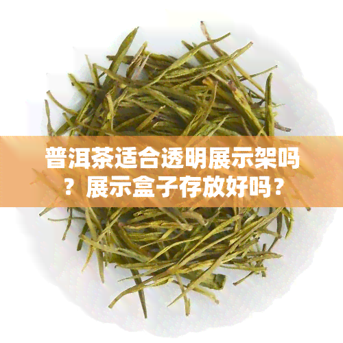 普洱茶适合透明展示架吗？展示盒子存放好吗？