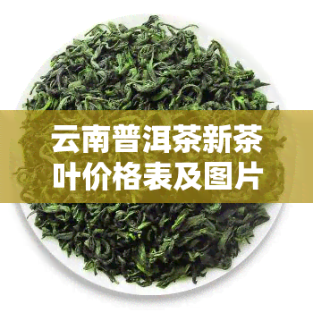 云南普洱茶新茶叶价格表及图片大全