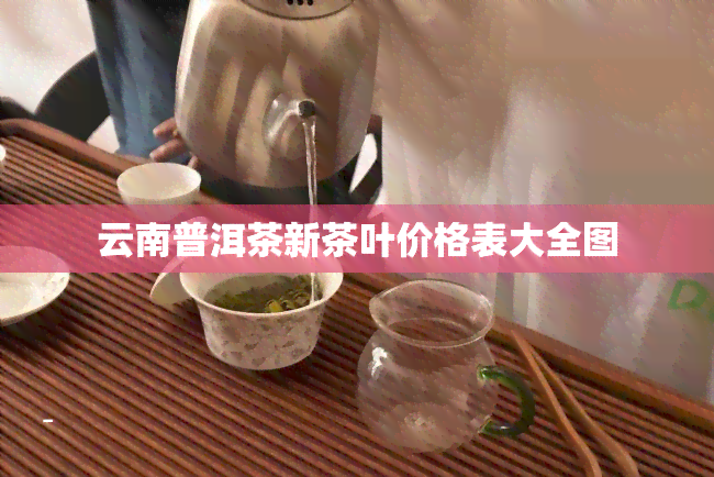 云南普洱茶新茶叶价格表大全图