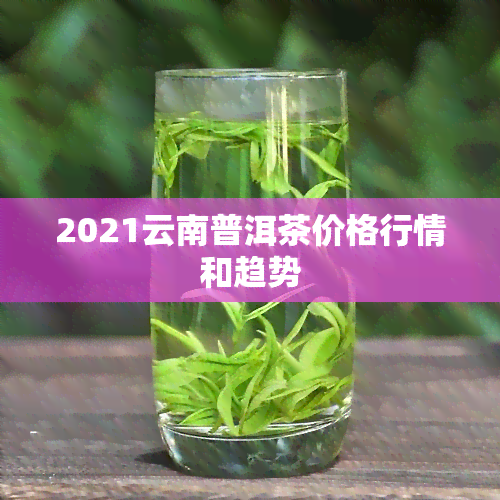 2021云南普洱茶价格行情和趋势