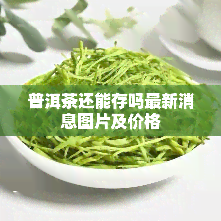 普洱茶还能存吗最新消息图片及价格