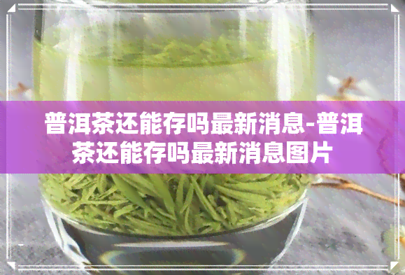 普洱茶还能存吗最新消息-普洱茶还能存吗最新消息图片