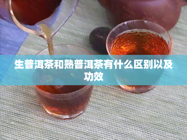 生普洱茶和熟普洱茶有什么区别以及功效