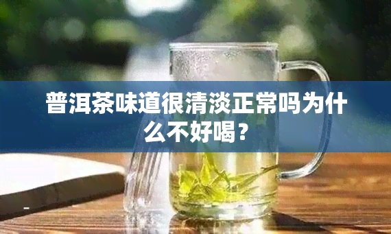 普洱茶味道很清淡正常吗为什么不好喝？