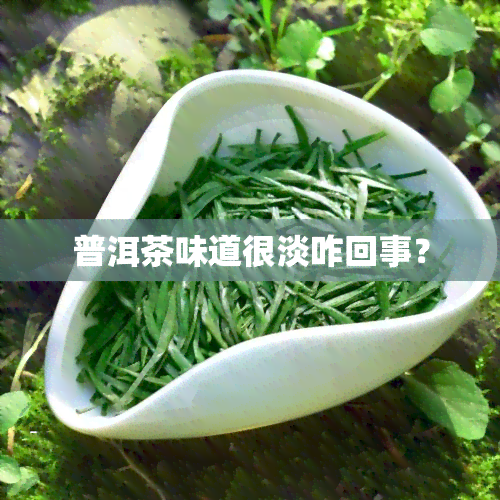 普洱茶味道很淡咋回事？