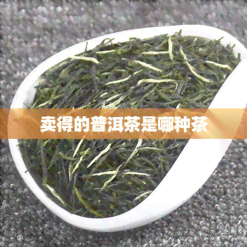 卖得的普洱茶是哪种茶