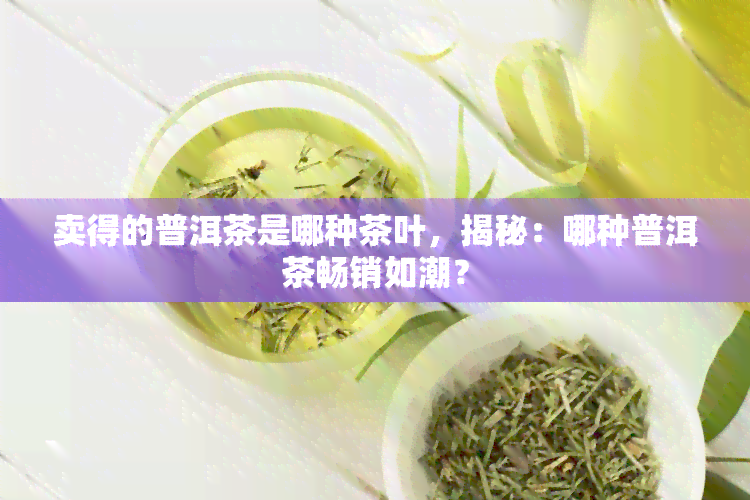 卖得的普洱茶是哪种茶叶，揭秘：哪种普洱茶畅销如潮？