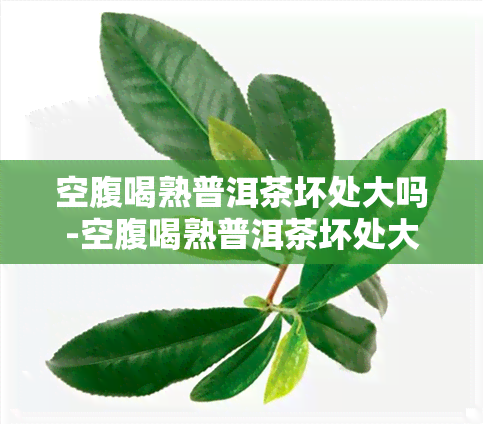 空腹喝熟普洱茶坏处大吗-空腹喝熟普洱茶坏处大吗女生