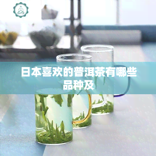 喜欢的普洱茶有哪些品种及