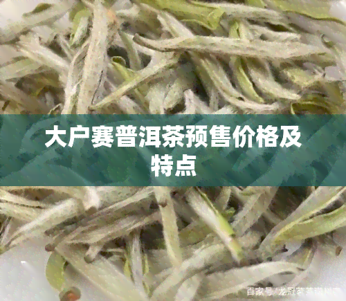 大户赛普洱茶预售价格及特点