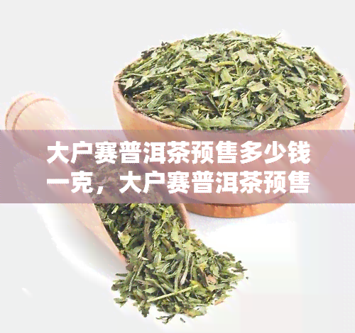 大户赛普洱茶预售多少钱一克，大户赛普洱茶预售价格：一克多少钱？