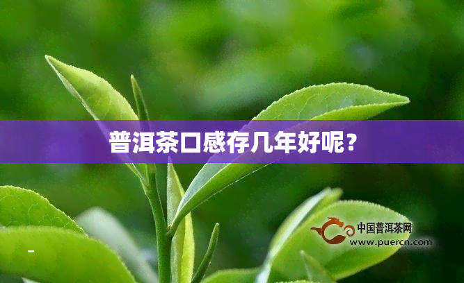 普洱茶口感存几年好呢？