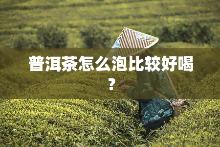 普洱茶怎么泡比较好喝？