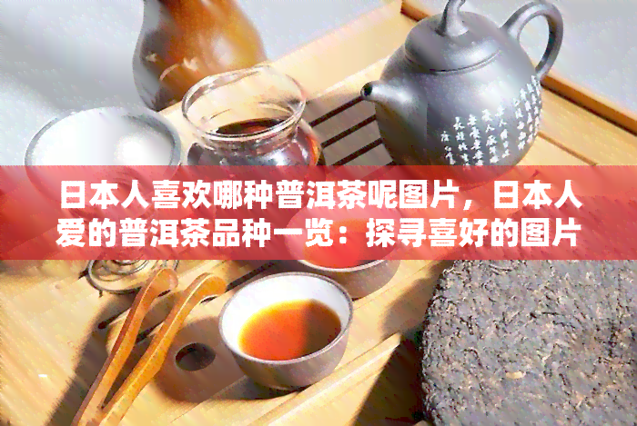 人喜欢哪种普洱茶呢图片，人爱的普洱茶品种一览：探寻喜好的图片时刻