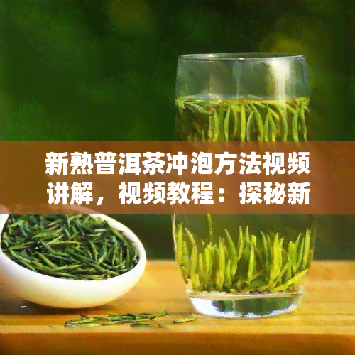 新熟普洱茶冲泡方法视频讲解，视频教程：探秘新熟普洱茶的冲泡技巧