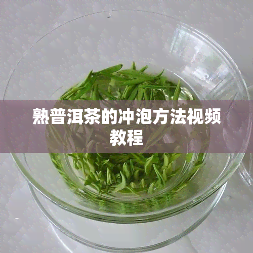 熟普洱茶的冲泡方法视频教程