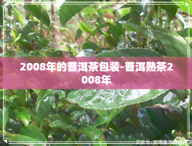 2008年的普洱茶包装-普洱熟茶2008年