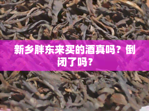 新乡胖东来买的真吗？倒闭了吗？