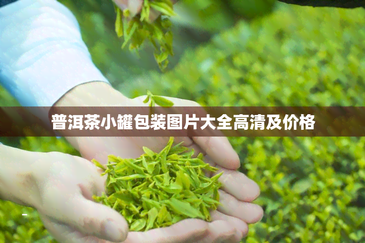 普洱茶小罐包装图片大全高清及价格