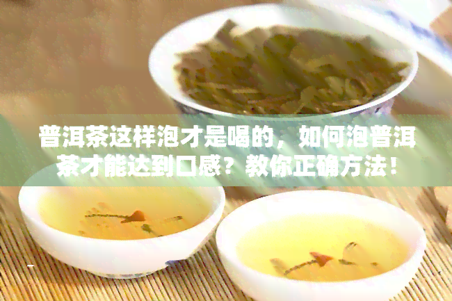 普洱茶这样泡才是喝的，如何泡普洱茶才能达到口感？教你正确方法！