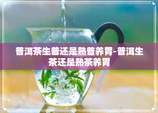 普洱茶生普还是熟普养胃-普洱生茶还是熟茶养胃