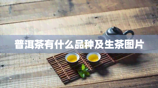 普洱茶有什么品种及生茶图片