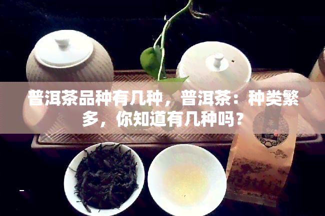 普洱茶品种有几种，普洱茶：种类繁多，你知道有几种吗？