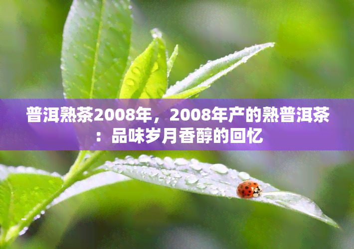 普洱熟茶2008年，2008年产的熟普洱茶：品味岁月香醇的回忆