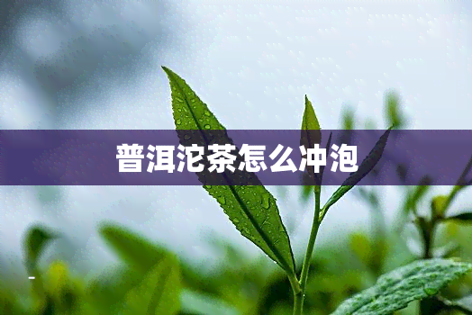 普洱沱茶怎么冲泡